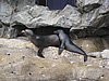 IMG_5845.JPG