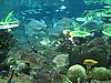 IMG_5852.JPG
