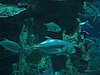 IMG_5859.JPG