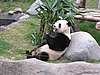 IMG_5903.JPG
