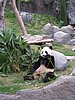 IMG_5905.JPG