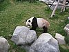 IMG_5907.JPG
