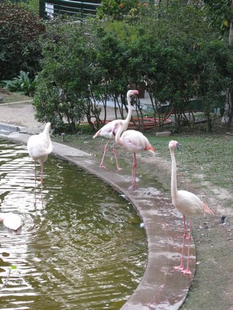 IMG_1918.JPG