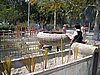 IMG_1838.JPG