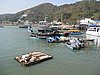 IMG_1868.JPG