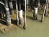 IMG_1881.JPG