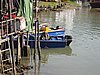 IMG_1882.JPG