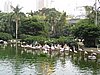 IMG_1917.JPG