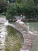 IMG_1918.JPG