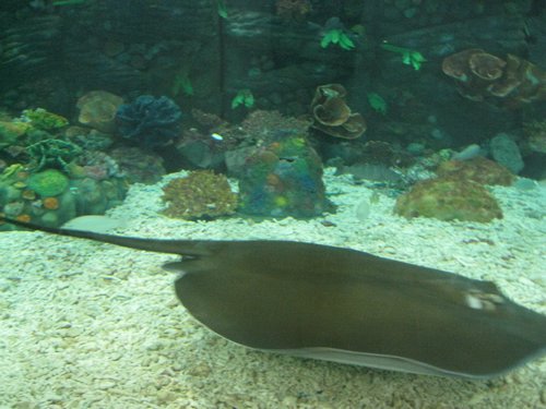 IMG_2100.JPG