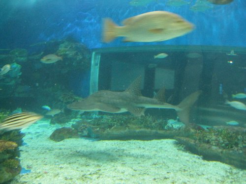 IMG_2102.JPG