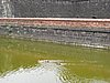 IMG_1988.JPG