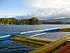 IMG_1996.JPG