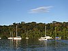 IMG_1998.JPG
