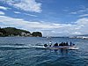 IMG_2013.JPG