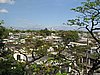 IMG_2061.JPG