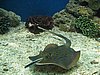 IMG_2098.JPG