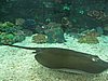 IMG_2100.JPG