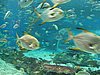IMG_2104.JPG