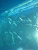 IMG_2105.JPG