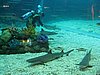 IMG_2107.JPG