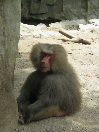IMG_2172.JPG