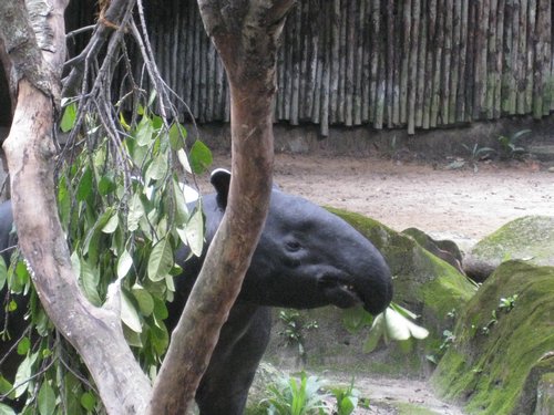 IMG_2186.JPG
