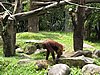 IMG_2149.JPG