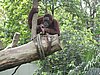 IMG_2151.JPG