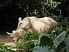 IMG_2154.JPG