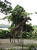 IMG_2158.JPG