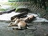 IMG_2159.JPG