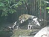 IMG_2160.JPG