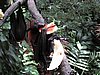 IMG_2163.JPG