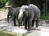IMG_2165.JPG