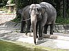 IMG_2166.JPG
