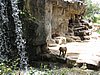 IMG_2169.JPG