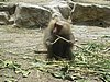 IMG_2171.JPG