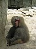 IMG_2172.JPG
