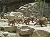 IMG_2174.JPG