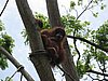 IMG_2178.JPG