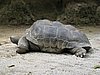 IMG_2182.JPG