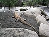 IMG_2183.JPG