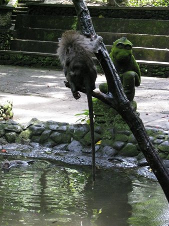 IMG_2350.JPG