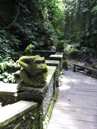 IMG_2364.JPG