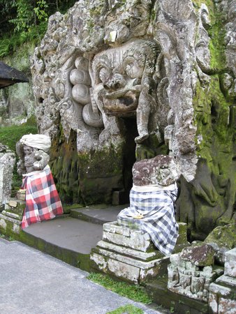 IMG_2429.JPG