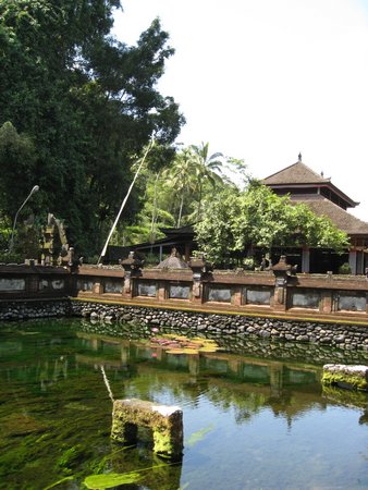 IMG_2447.JPG