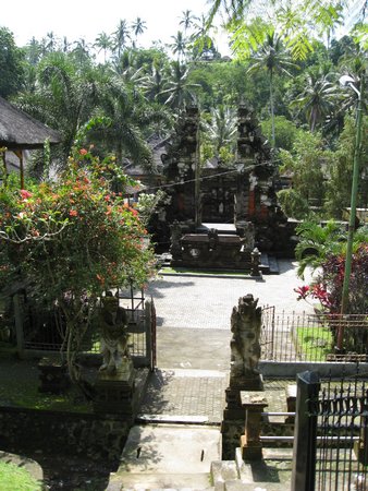 IMG_2450.JPG