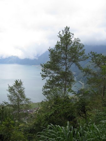 IMG_2459.JPG