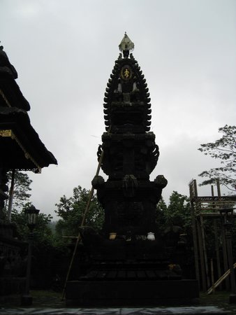 IMG_2490.JPG